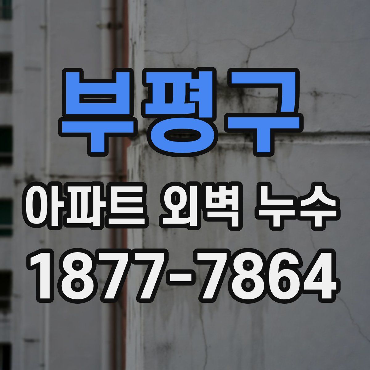 부평구 아파트 외벽 누수