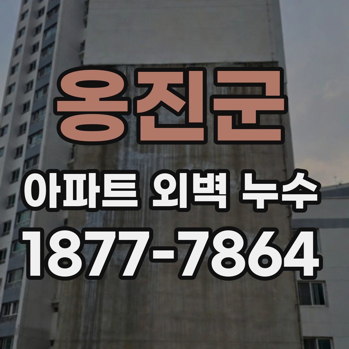 옹진군 아파트 외벽 누수 발생 위치에 따른 점검 우선순위