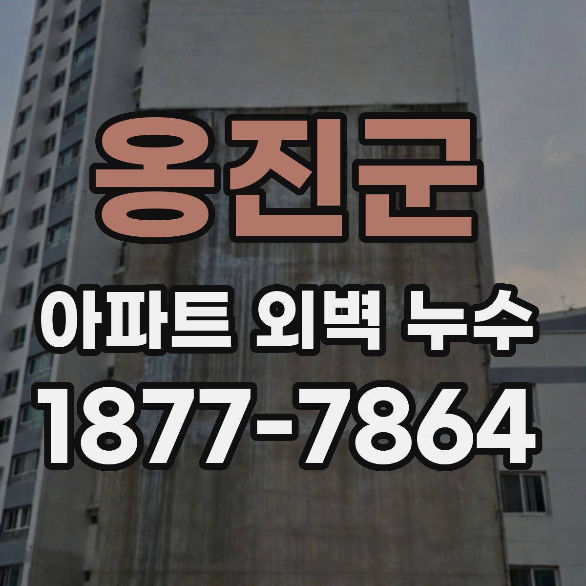 옹진군 아파트 외벽 누수