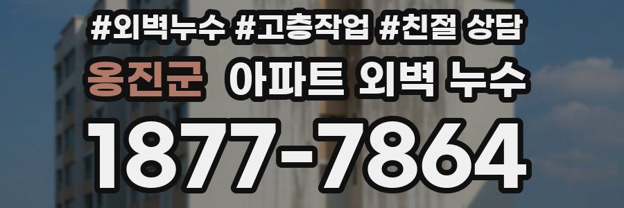 옹진군 아파트 외벽 누수