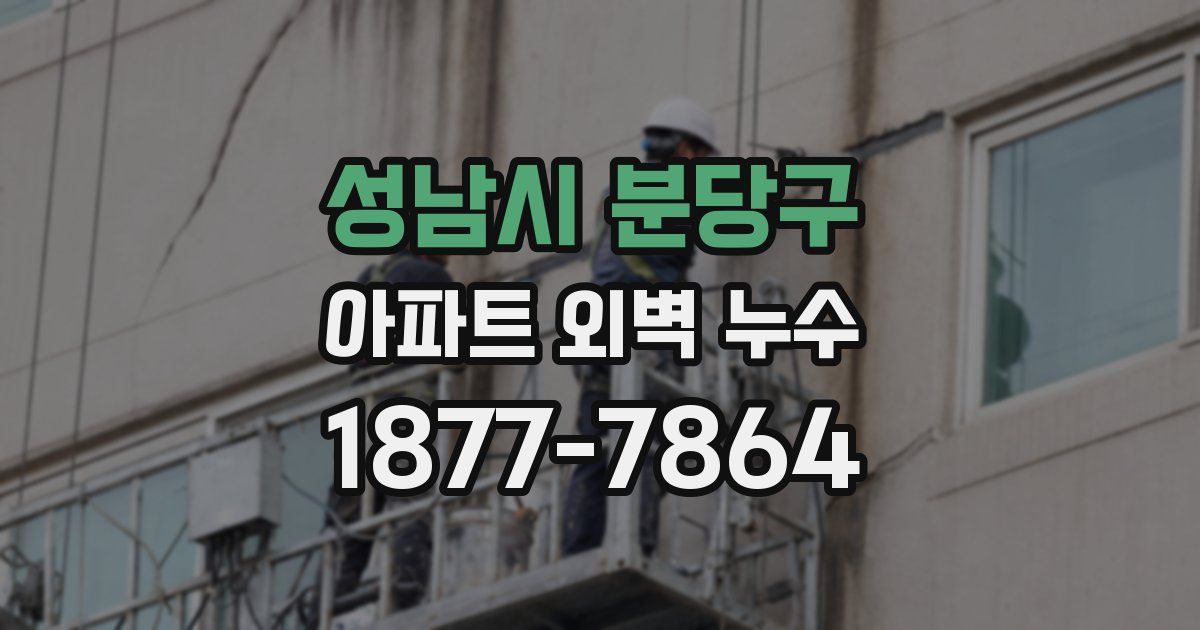 성남시 분당구 아파트 외벽 누수