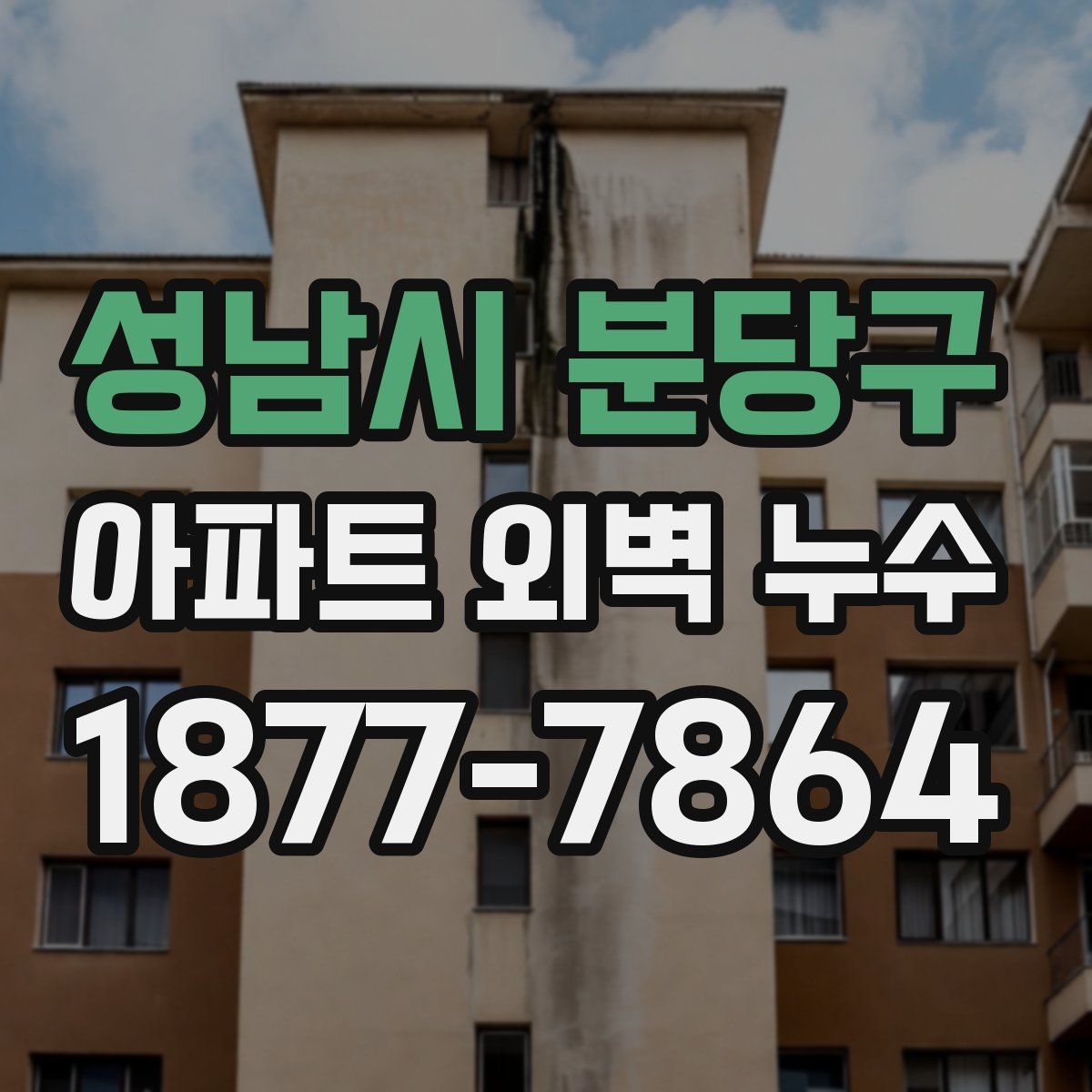 성남시 분당구 아파트 외벽 누수