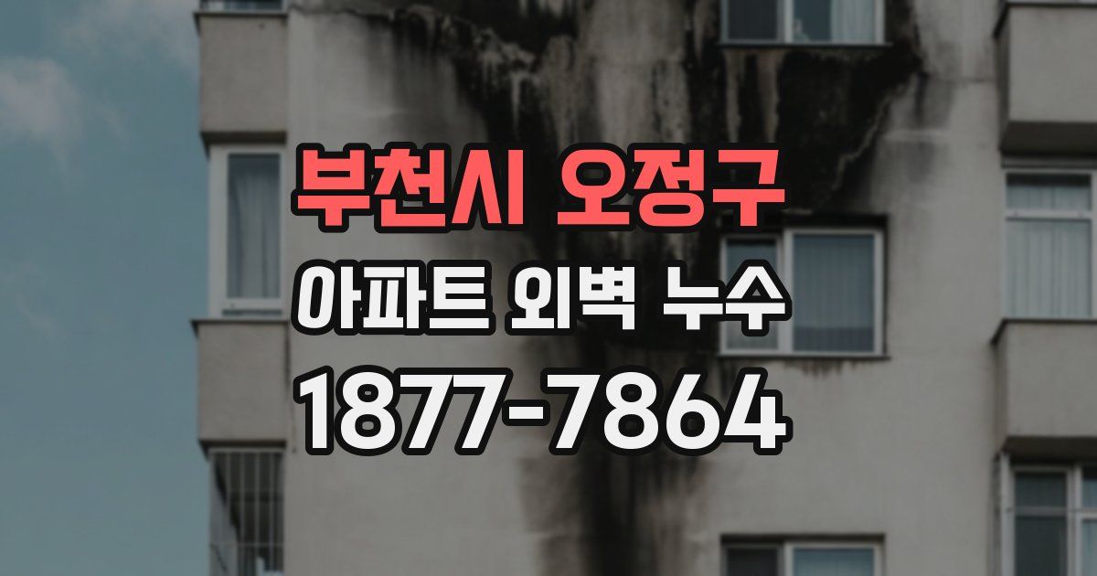 부천시 오정구 아파트 외벽 누수