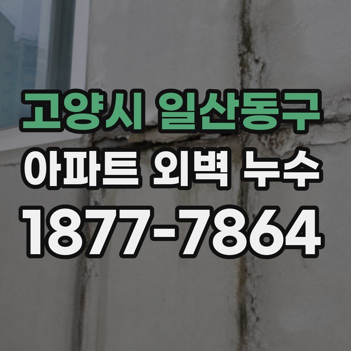 고양시 일산동구 아파트 외벽 누수