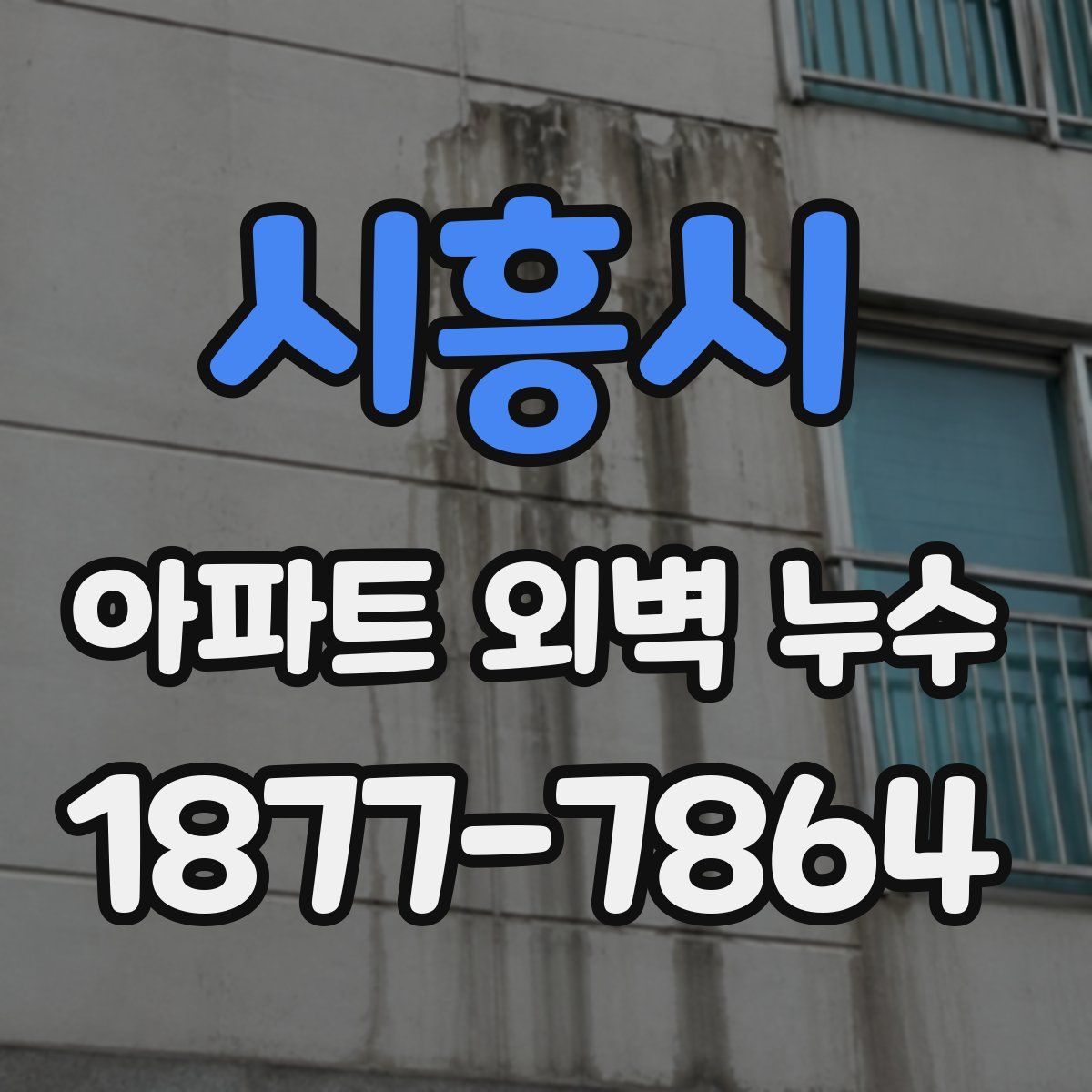 시흥시 아파트 외벽 누수