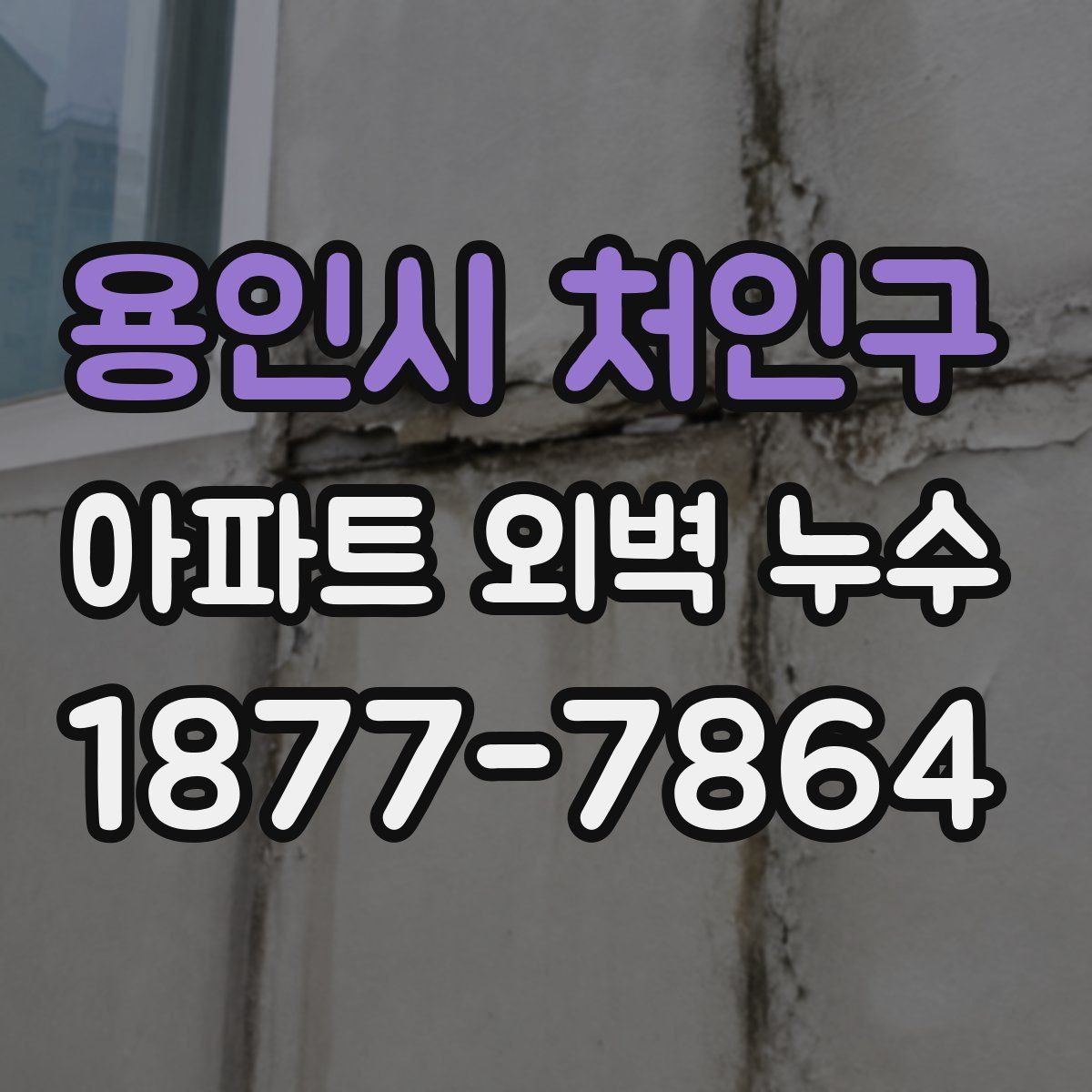 용인시 처인구 아파트 외벽 누수