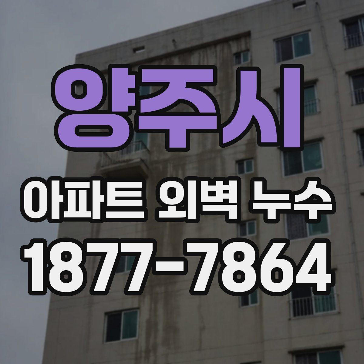 양주시 아파트 외벽 누수 발생 시 공용부 확인이 필요한 이유