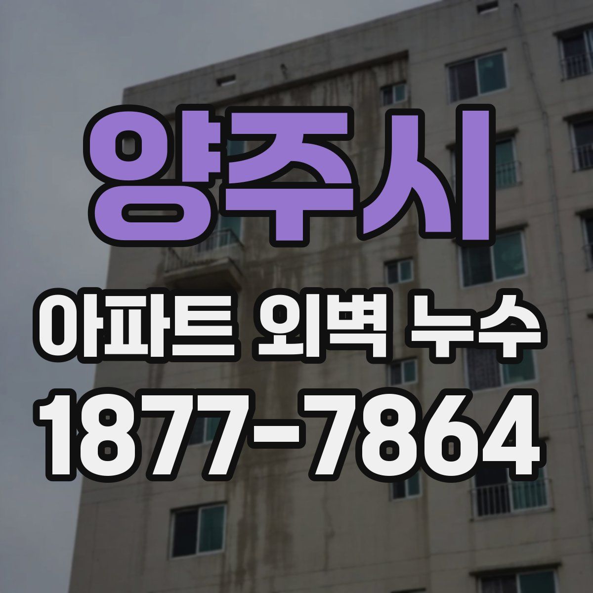 양주시 아파트 외벽 누수