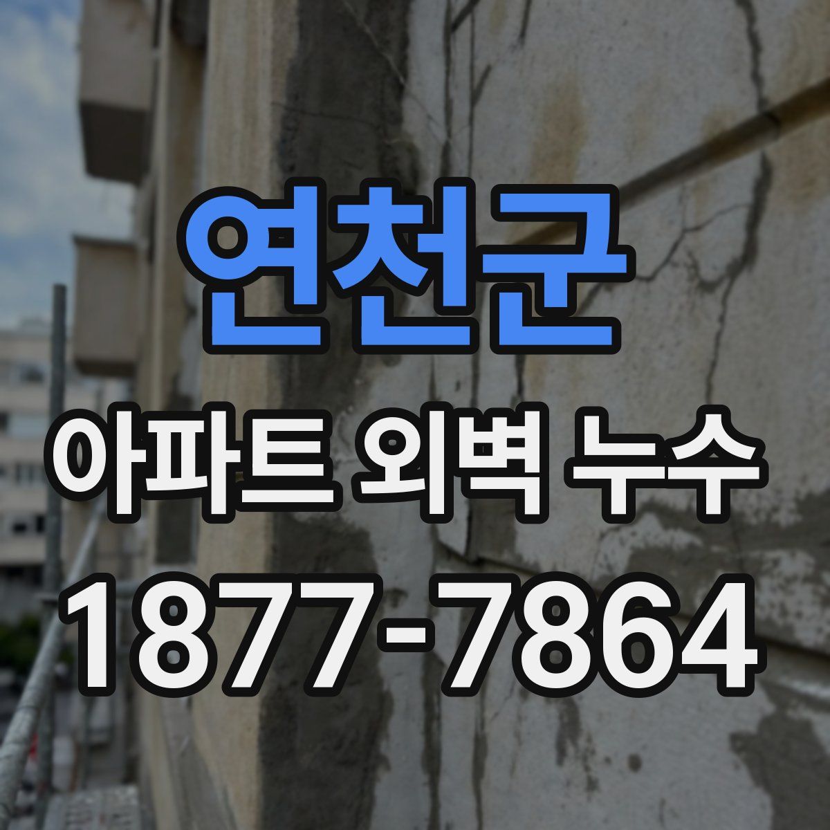 연천군 아파트 외벽 누수