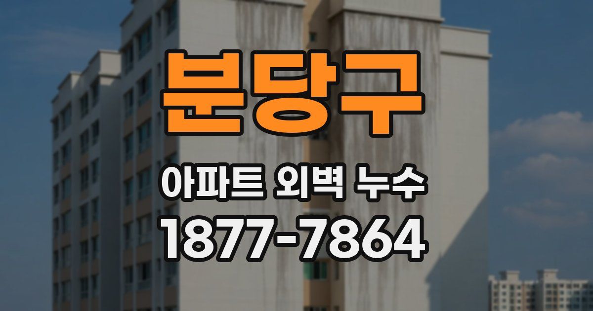 분당구 아파트 외벽 누수