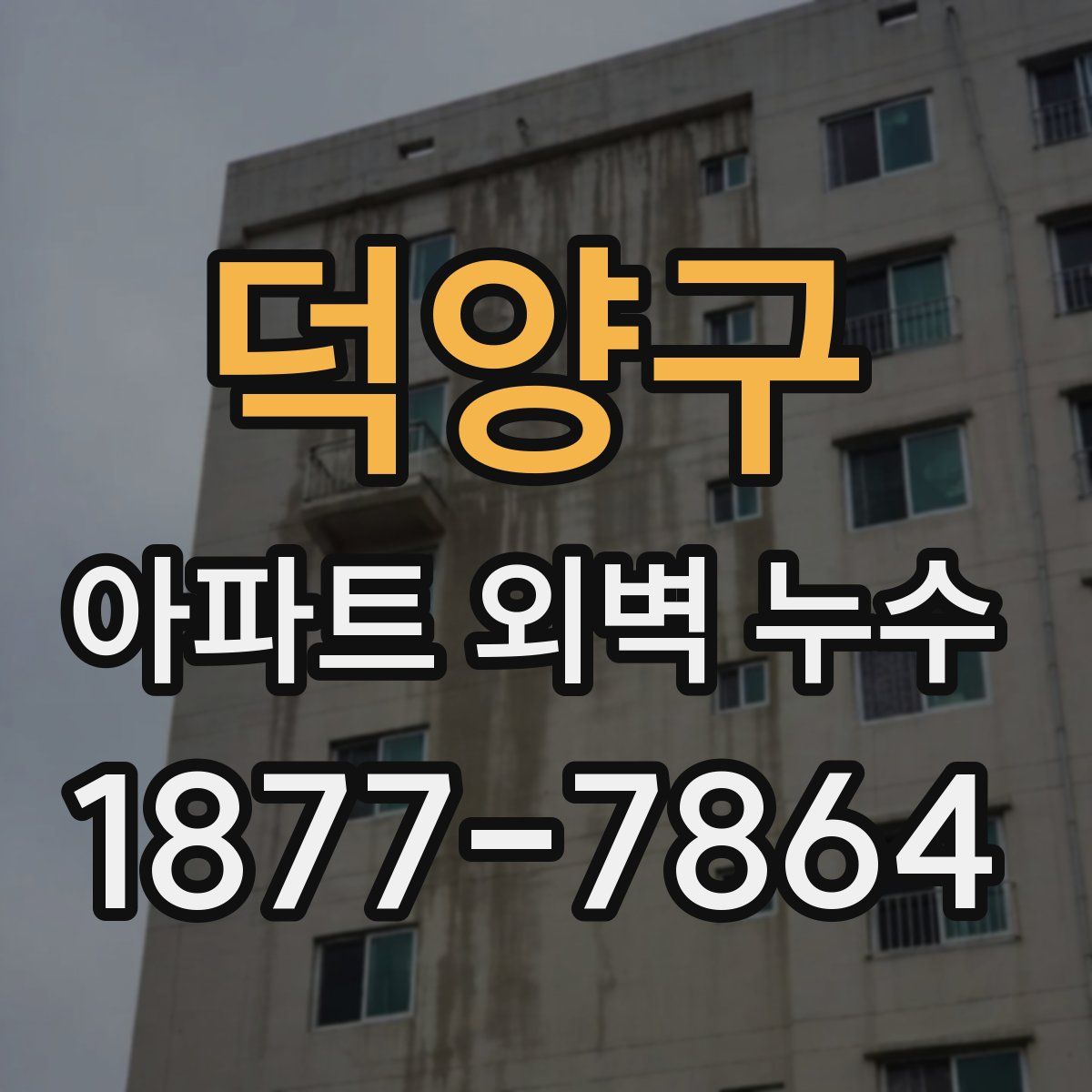 덕양구 아파트 외벽 누수