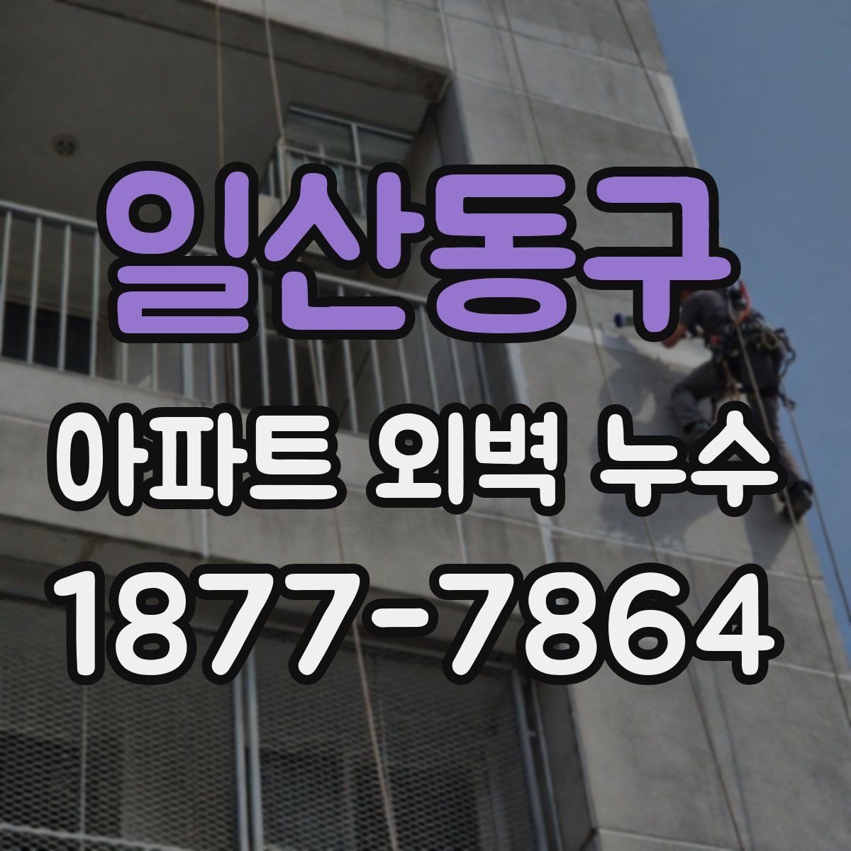 일산동구 아파트 외벽 누수