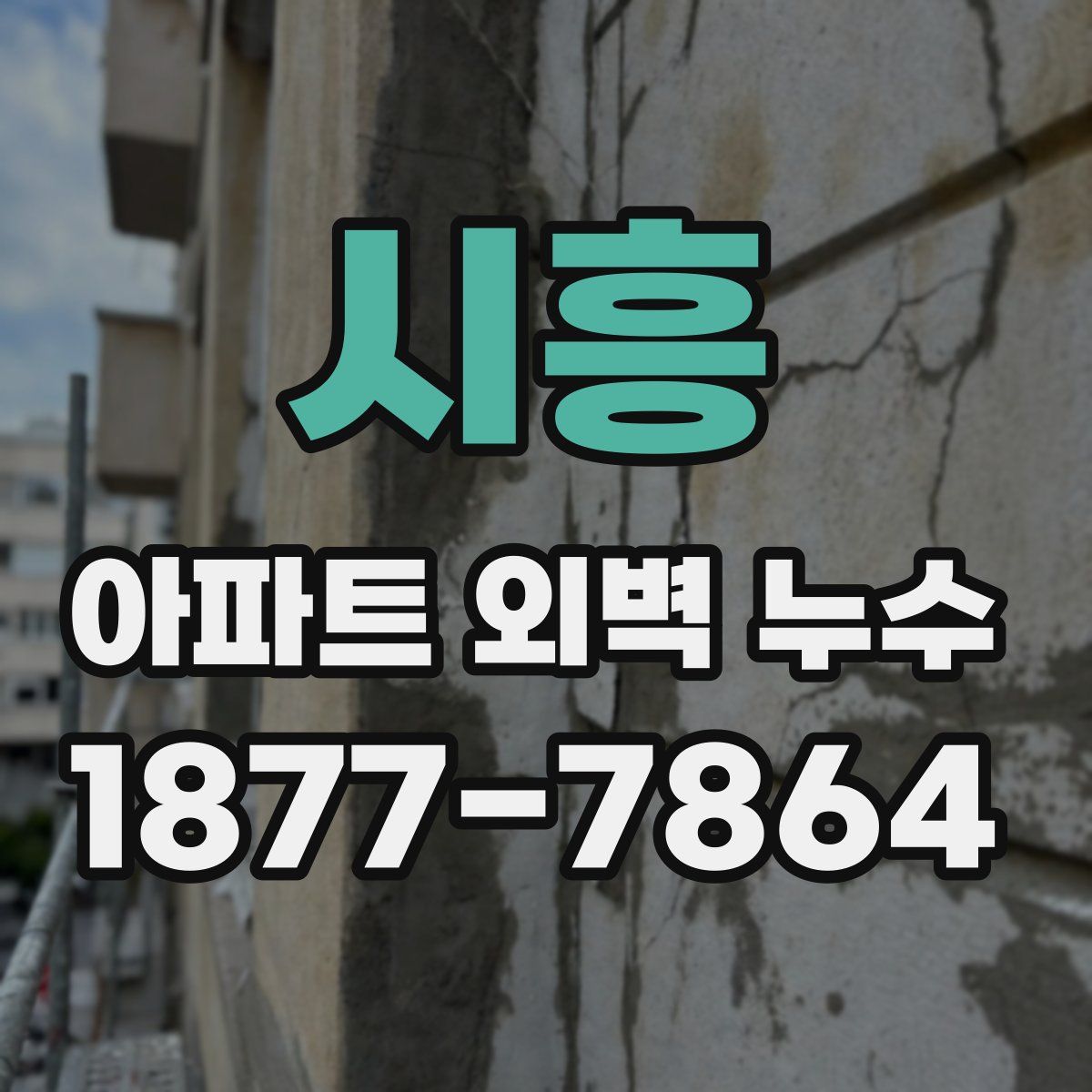 시흥 아파트 외벽 누수