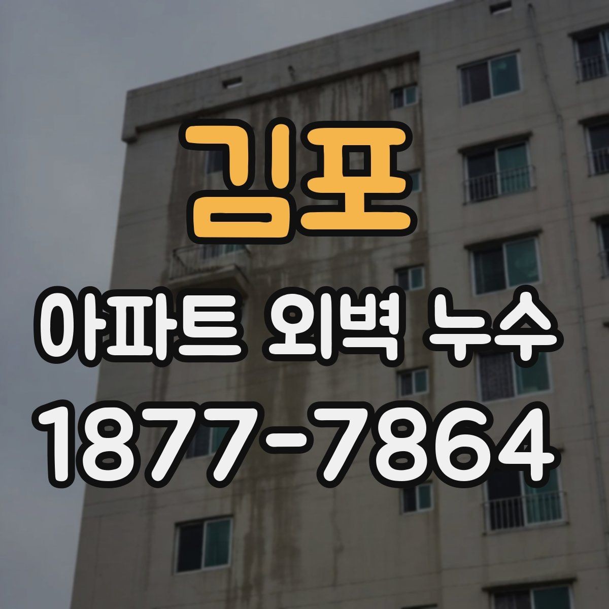 김포 아파트 외벽 누수 사례로 배우는 예방 관리