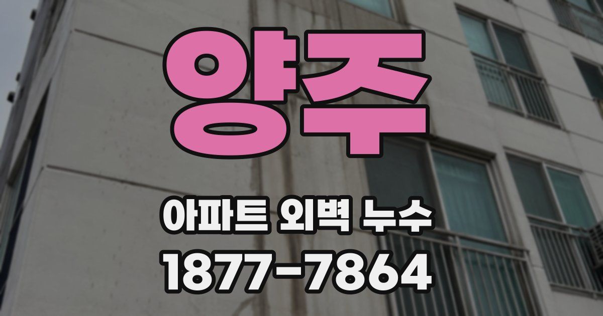 양주 아파트 외벽 누수