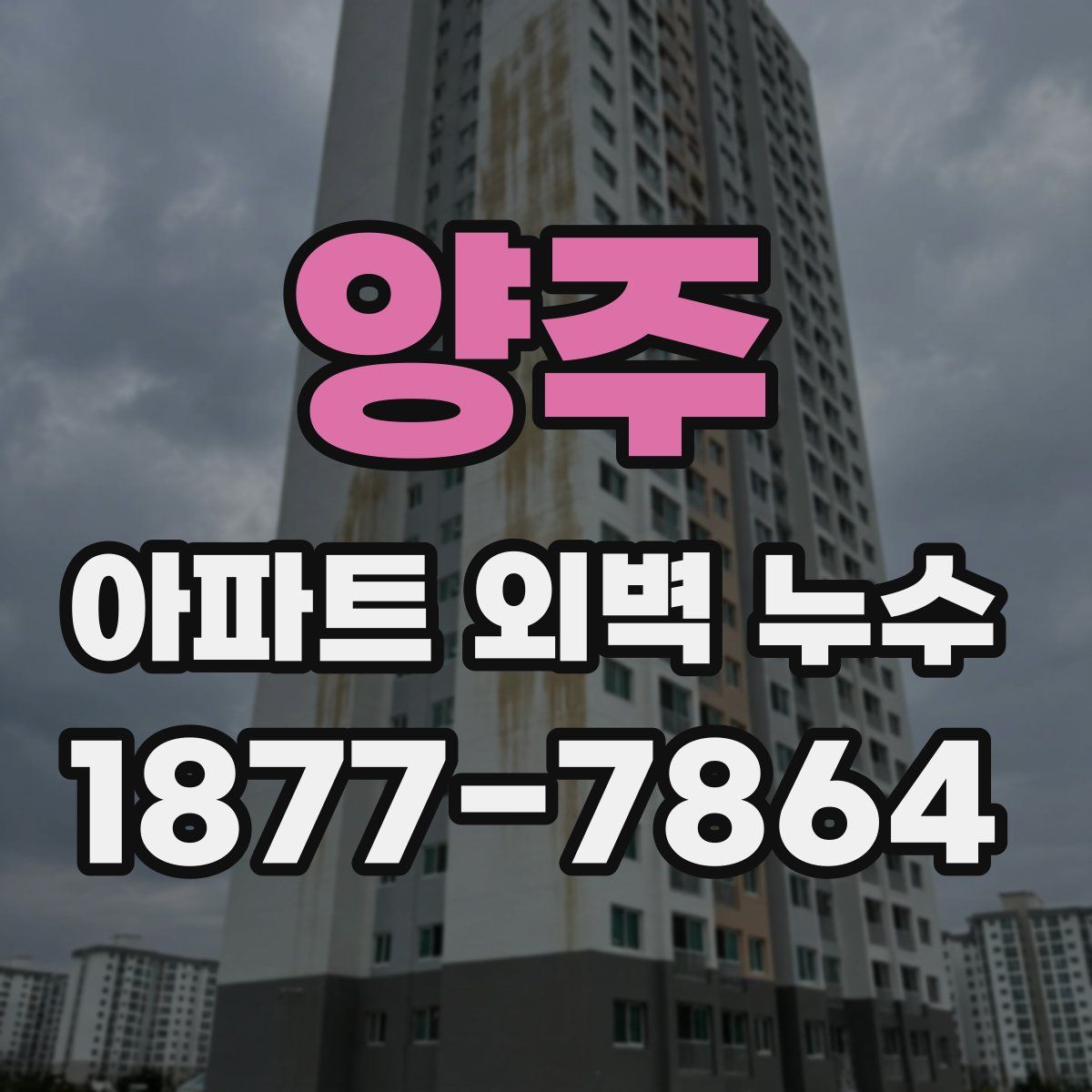 양주 아파트 외벽 누수