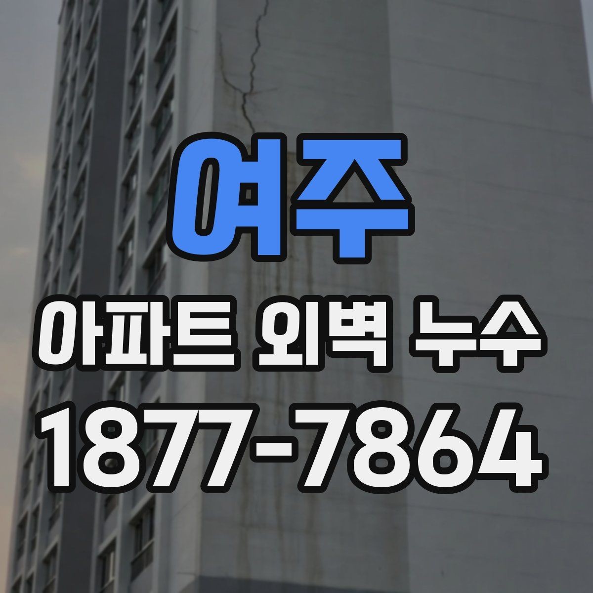 여주 아파트 외벽 누수 진단 비용과 점검 항목