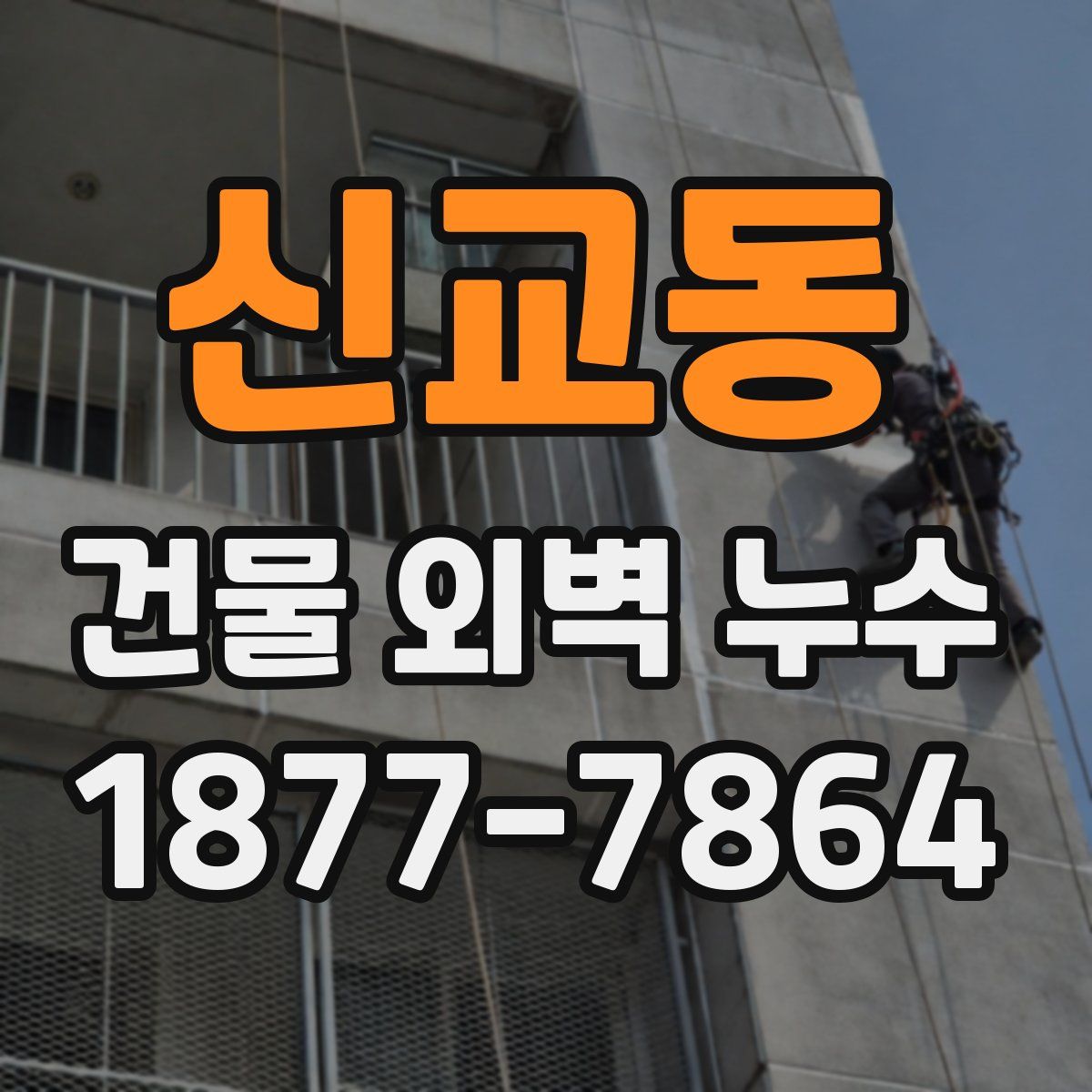 신교동 건물 외벽 누수