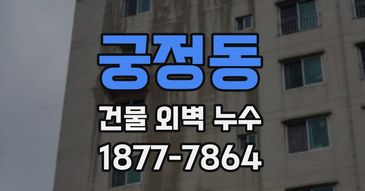 궁정동 건물 외벽 누수