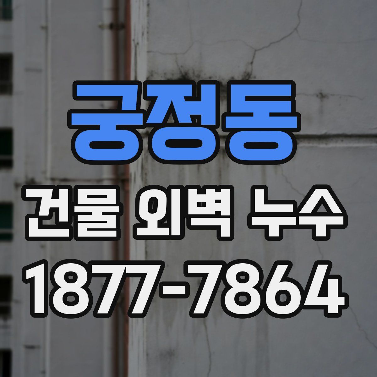 궁정동 건물 외벽 누수