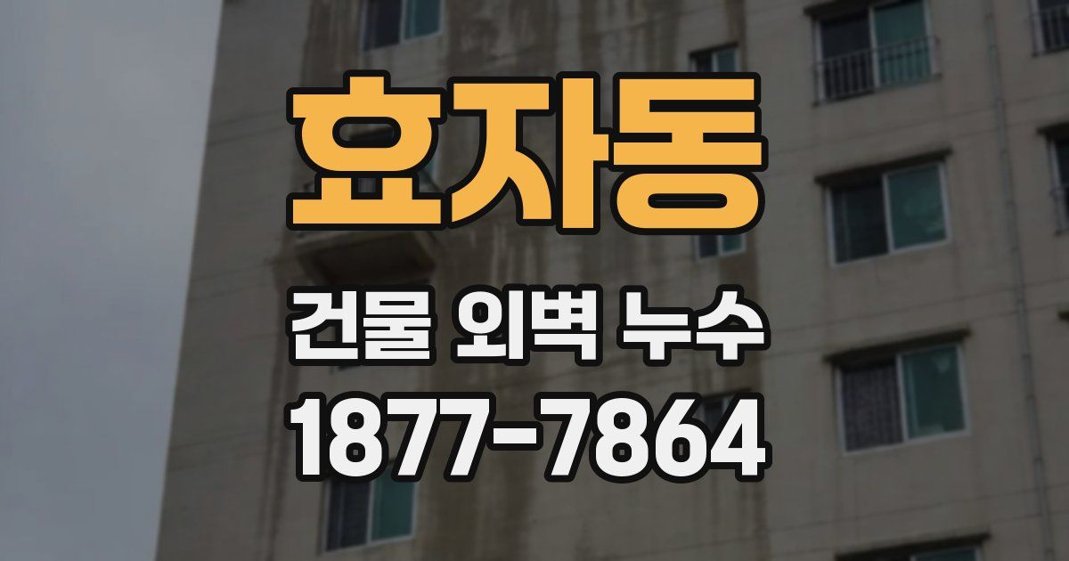 효자동 건물 외벽 누수