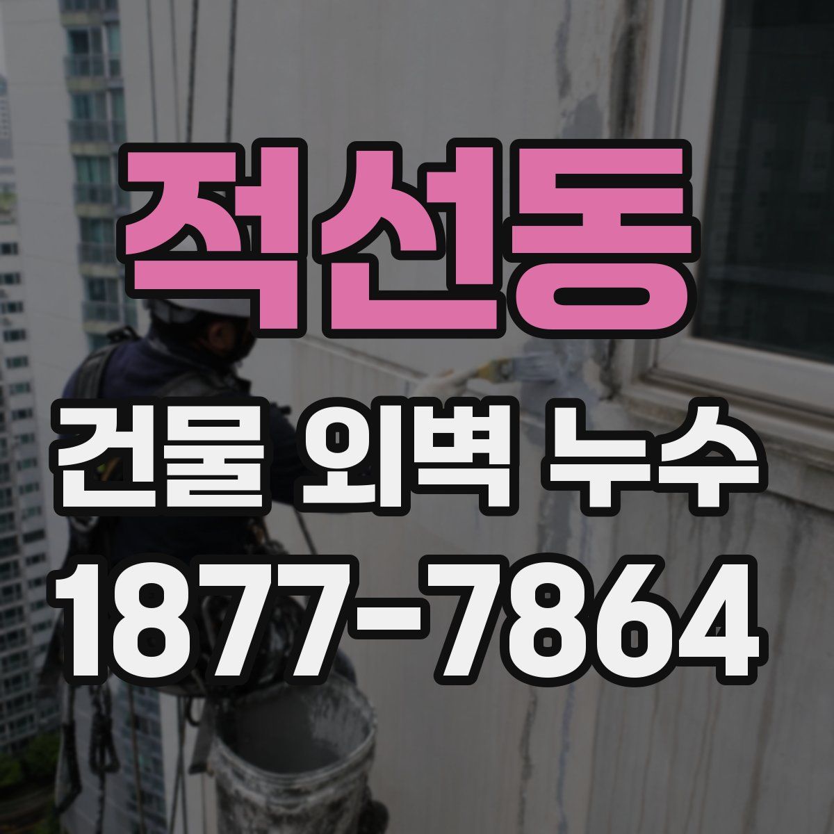 적선동 건물 외벽 누수