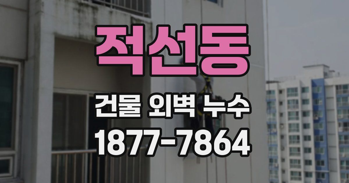 적선동 건물 외벽 누수