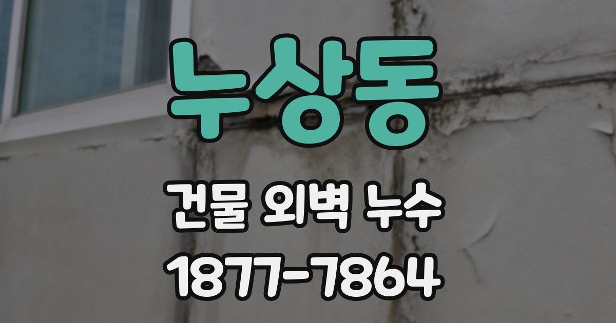 누상동 건물 외벽 누수