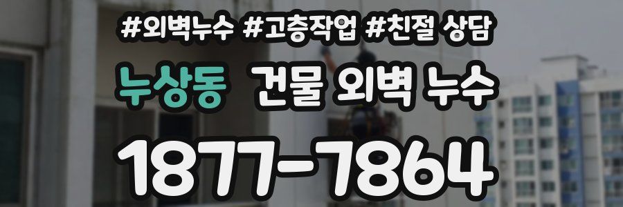 누상동 건물 외벽 누수