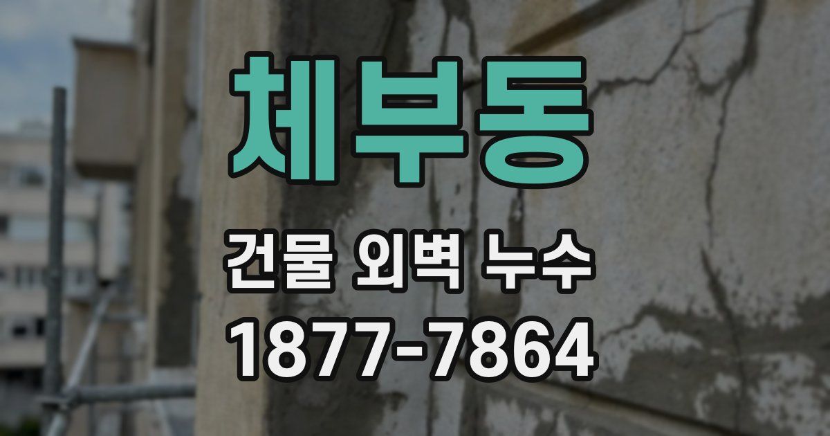 체부동 건물 외벽 누수
