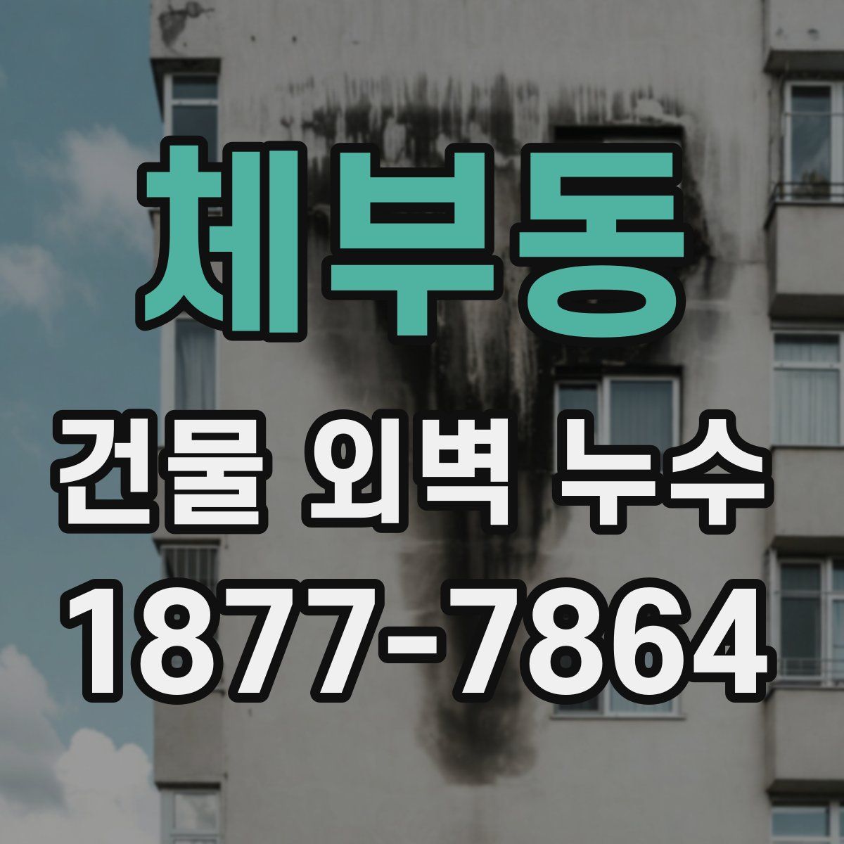 체부동 건물 외벽 누수