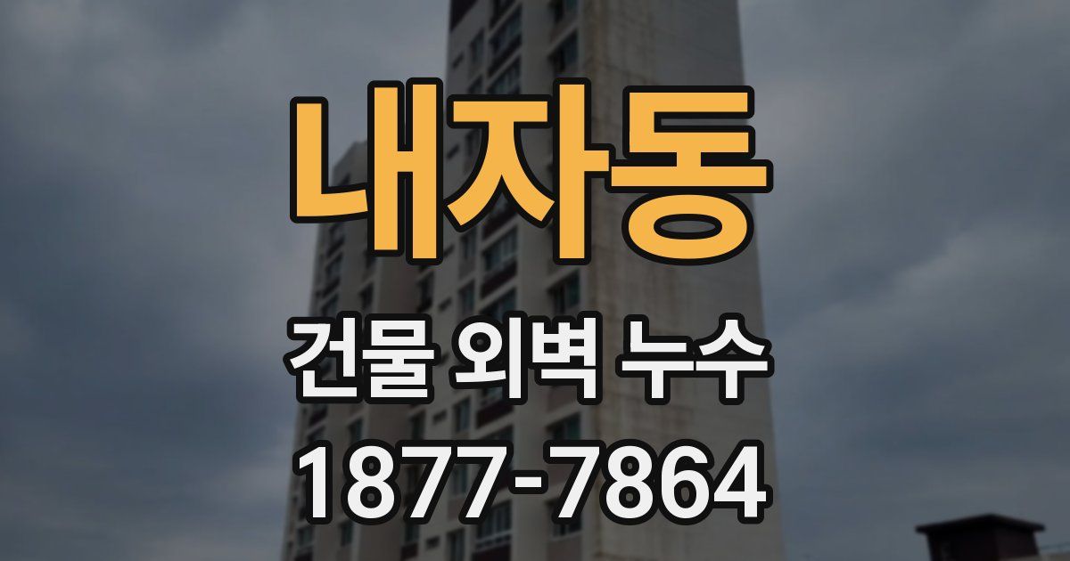 내자동 건물 외벽 누수