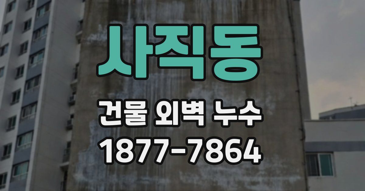 사직동 건물 외벽 누수
