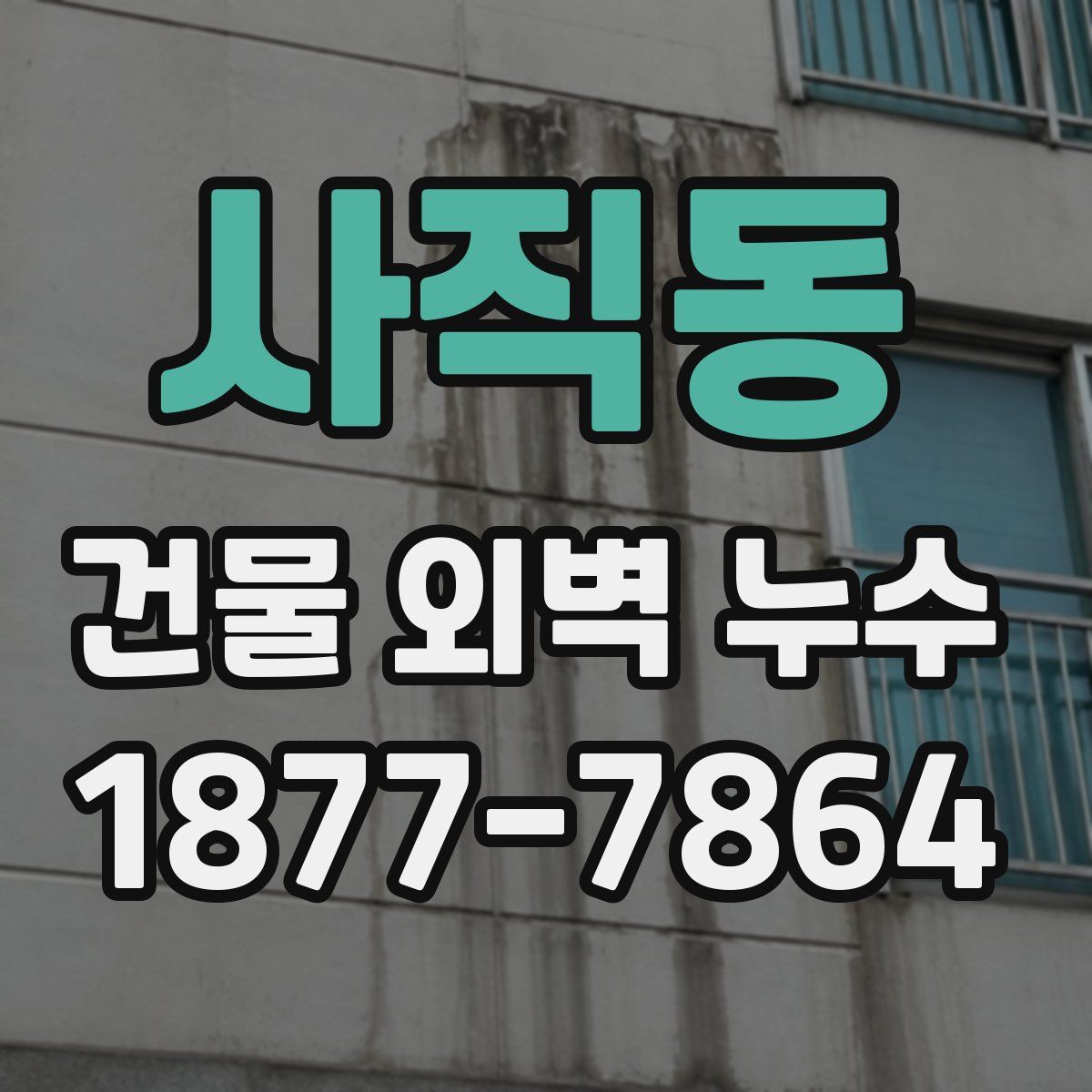 사직동 건물 외벽 누수