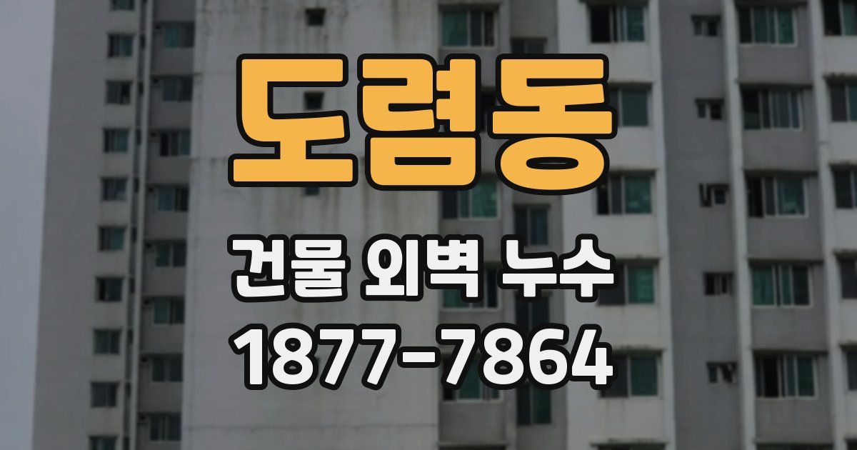 도렴동 건물 외벽 누수