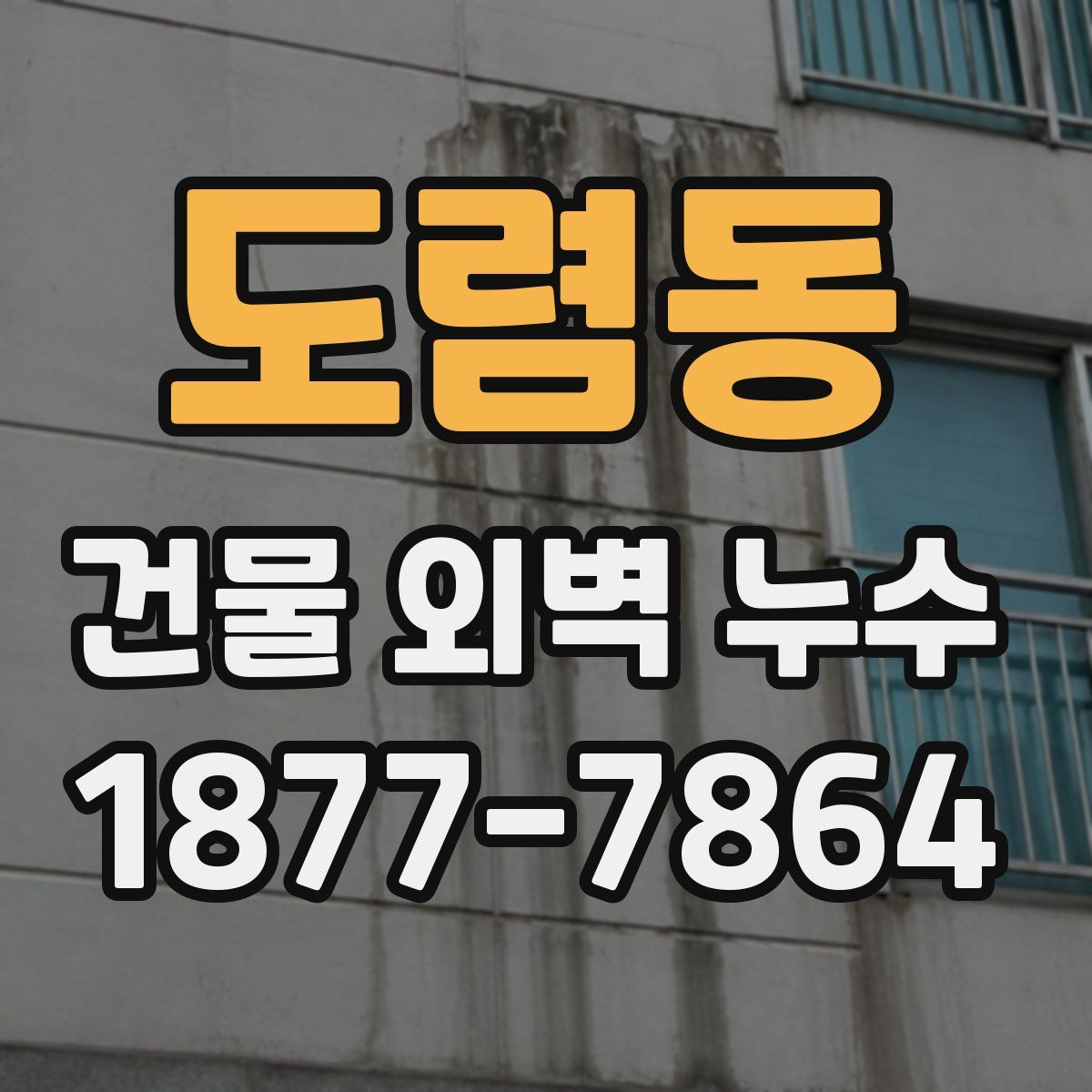 도렴동 건물 외벽 누수