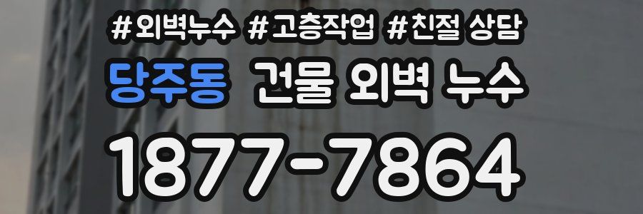 당주동 건물 외벽 누수