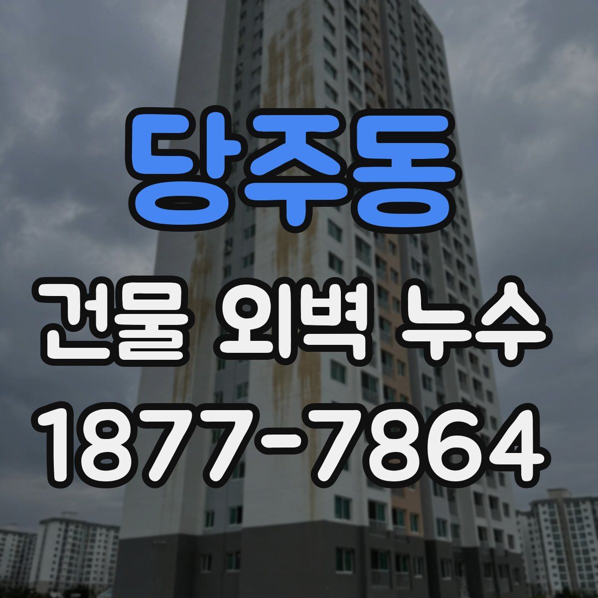 당주동 건물 외벽 누수