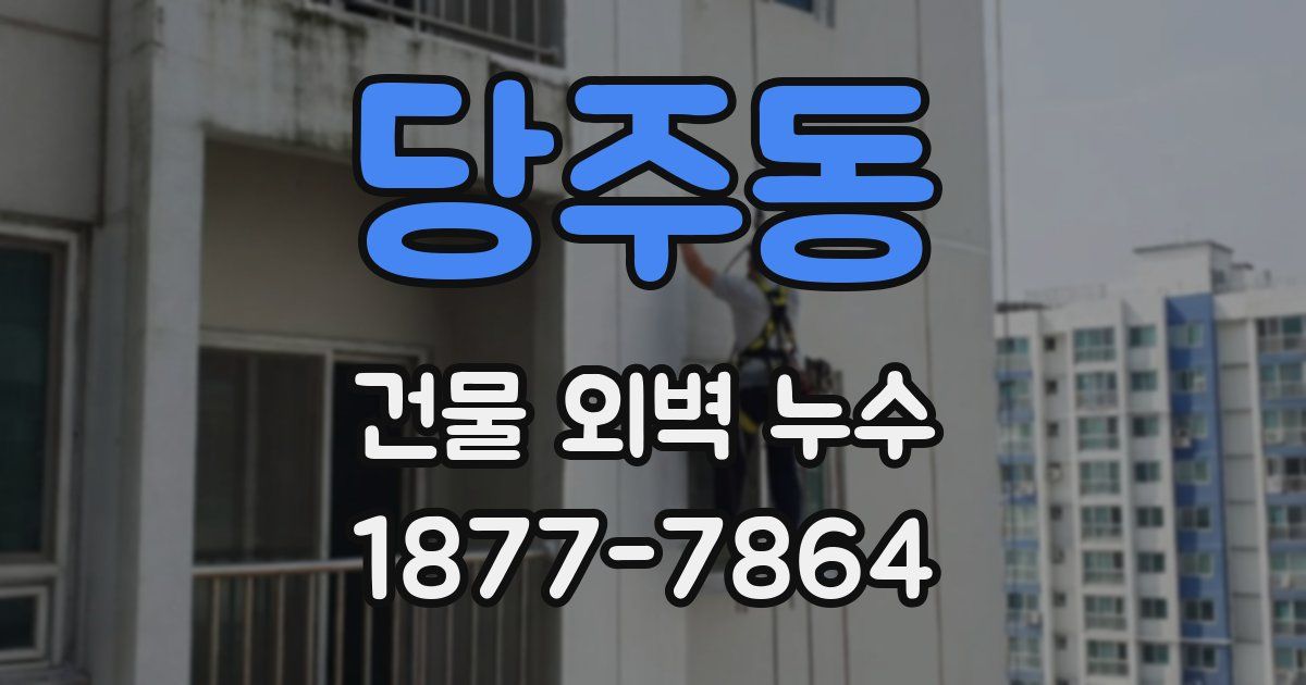 당주동 건물 외벽 누수