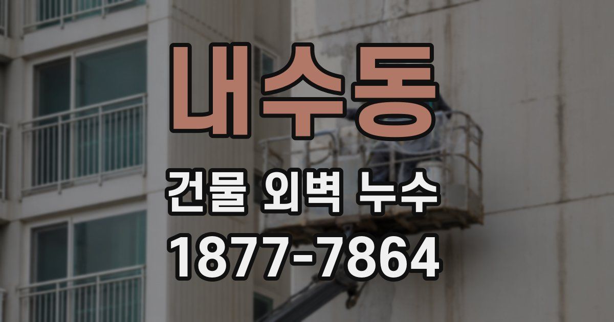 내수동 건물 외벽 누수