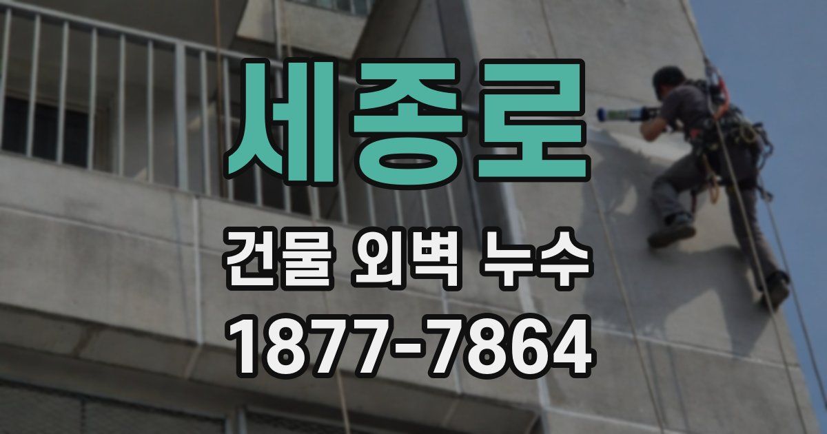 세종로 건물 외벽 누수