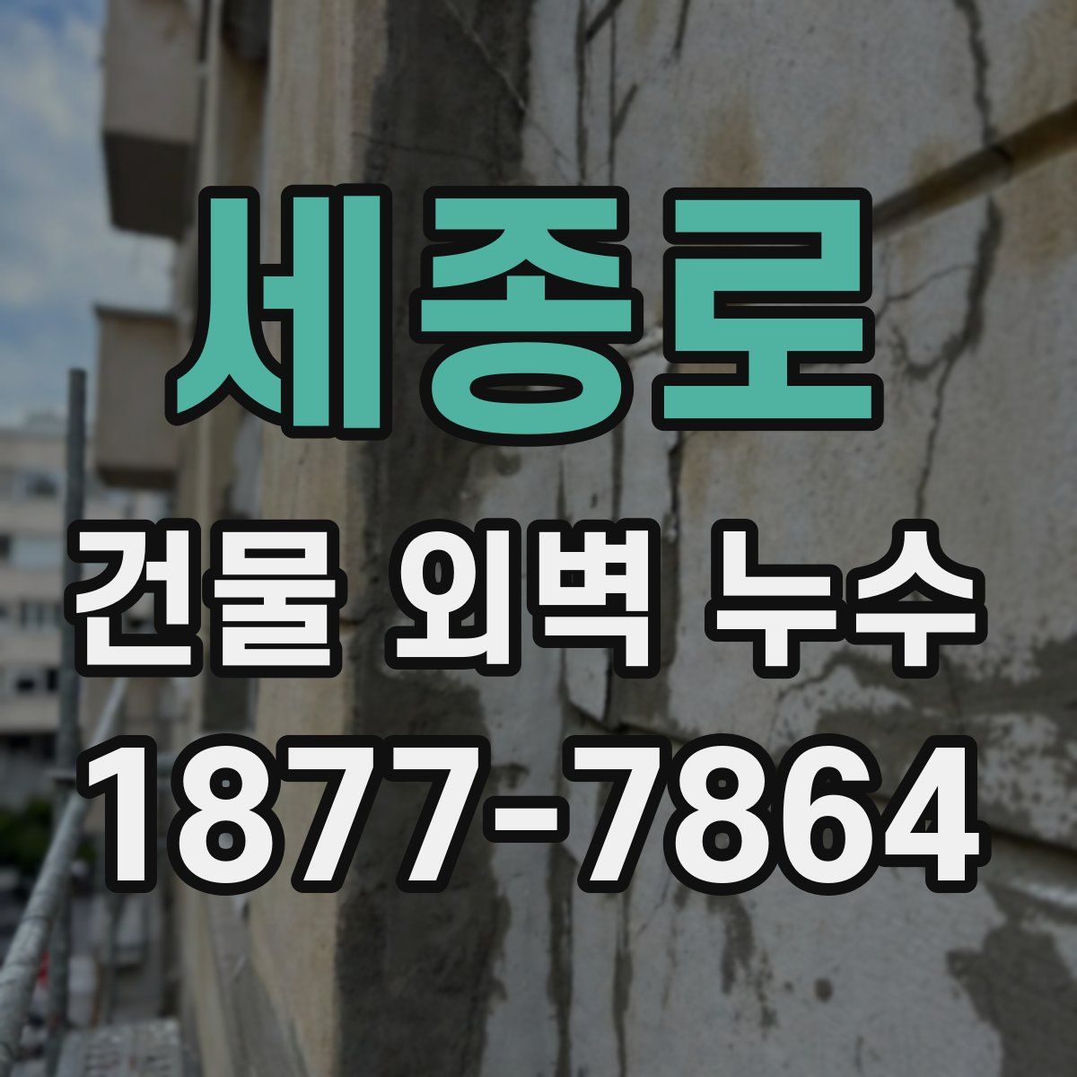 세종로 건물 외벽 누수