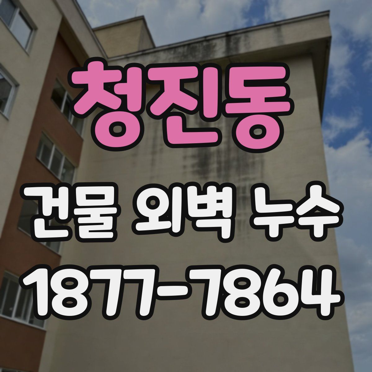 청진동 건물 외벽 누수