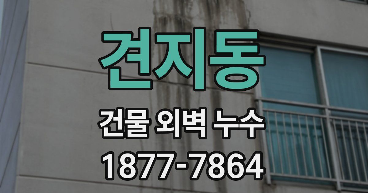 견지동 건물 외벽 누수