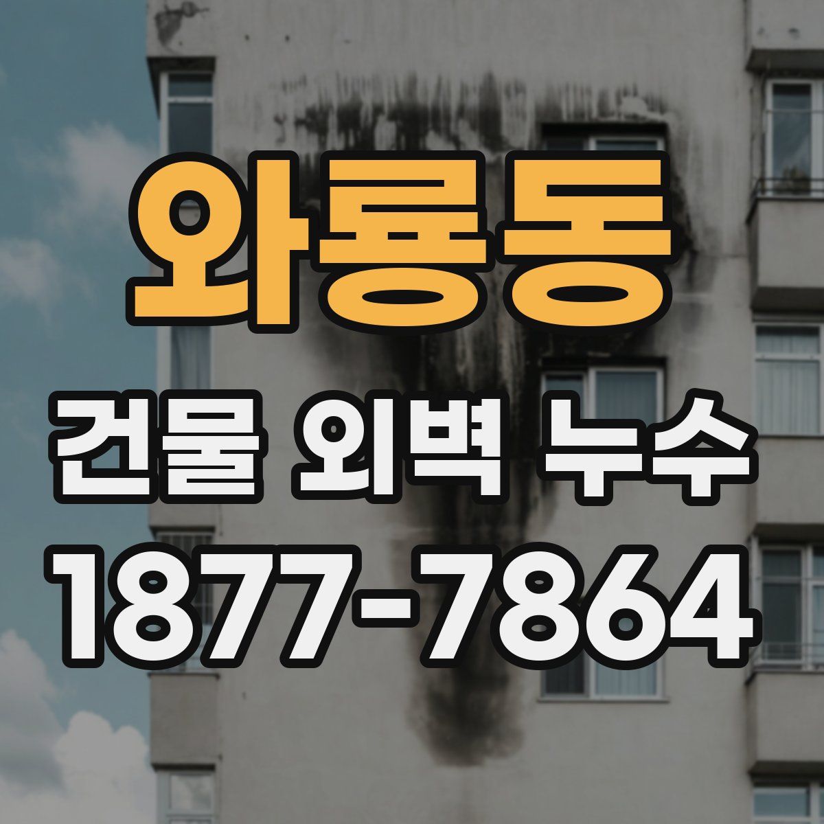 와룡동 건물 외벽 누수