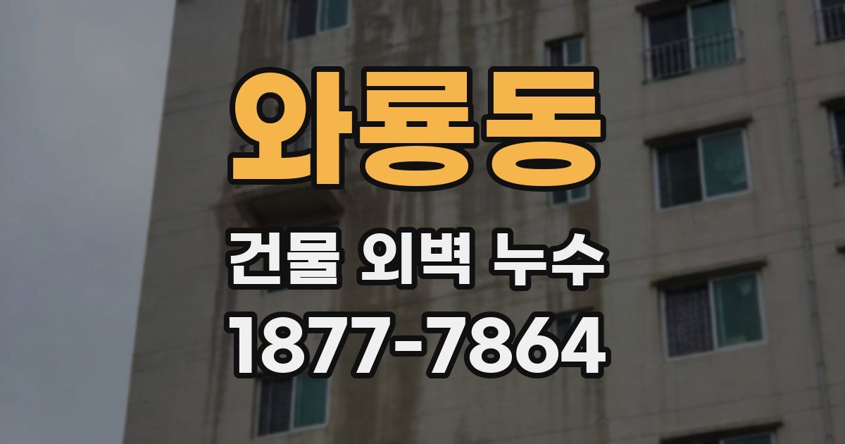 와룡동 건물 외벽 누수