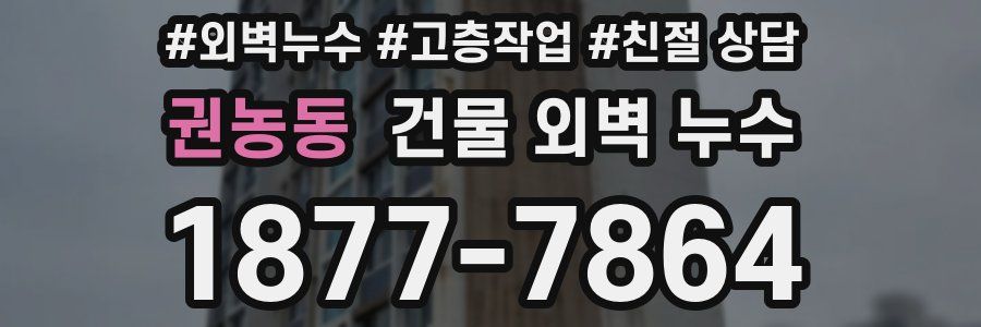 권농동 건물 외벽 누수