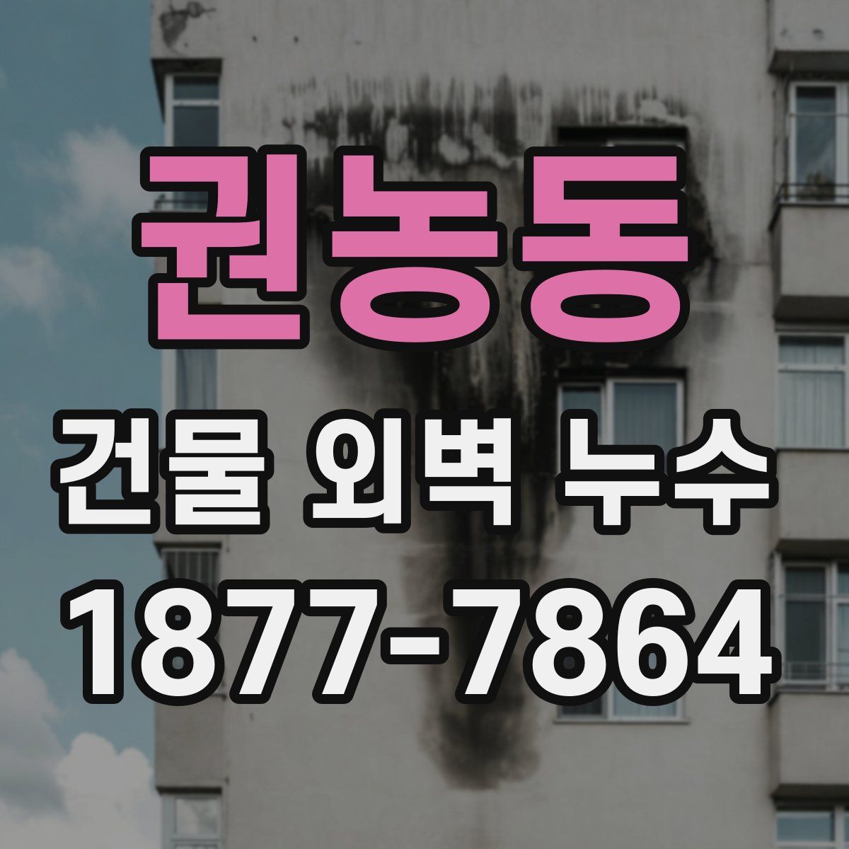 권농동 건물 외벽 누수