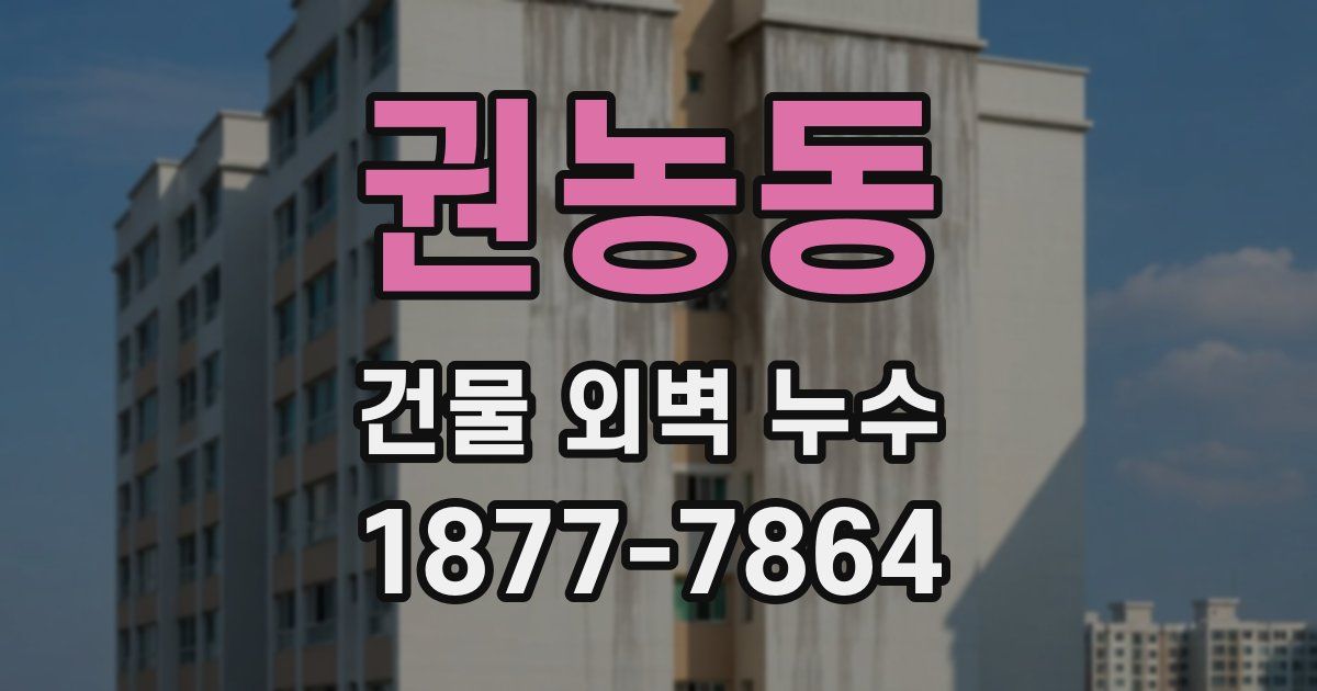 권농동 건물 외벽 누수