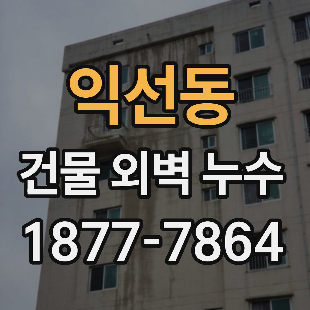 익선동 건물 외벽 누수